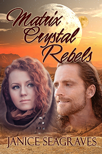 The what ifs of Writng a series by Janice Seagraves