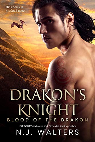 Drakon's Knight by N.J. Walters cover