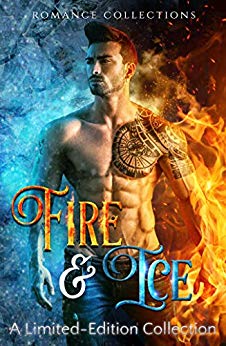 Fire & Ice by Tricia Schneider (cover)
