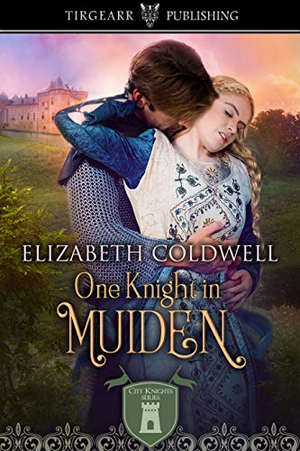 One Knight In Muiden by Elizabeth Coldwell (cover)