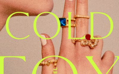 Stone Cold Fox by Rachel Koller Croft