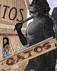 Gatos by Lia Connor