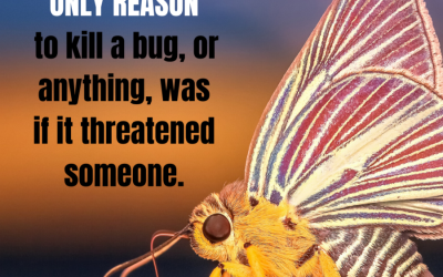 CHENDELL: A Natural Warrior – all about the bugs…