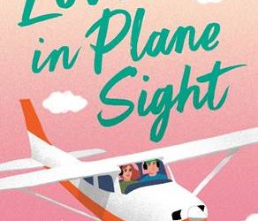 Love in Plane Sight by Lauren Connolly